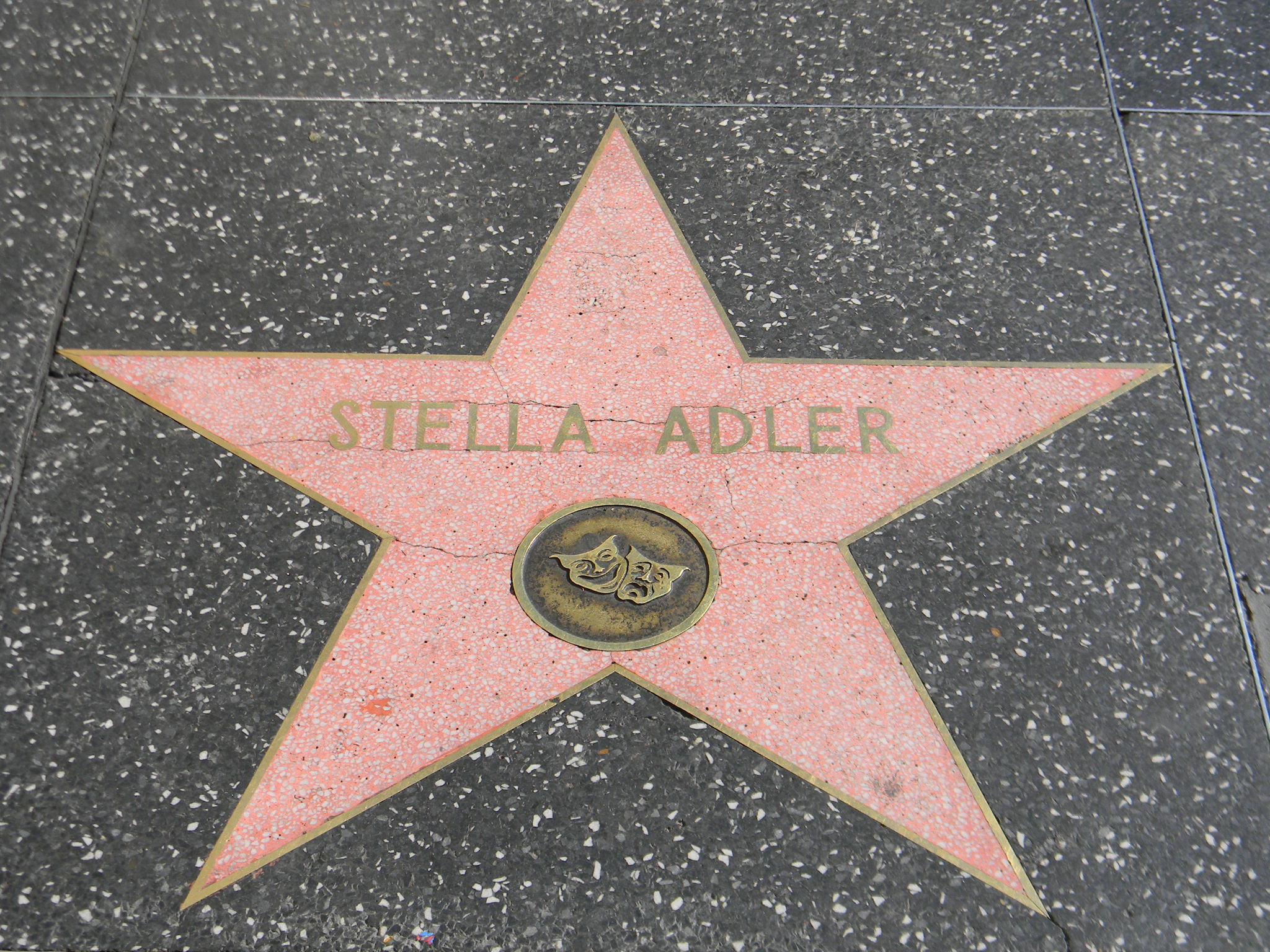 stellas-star1